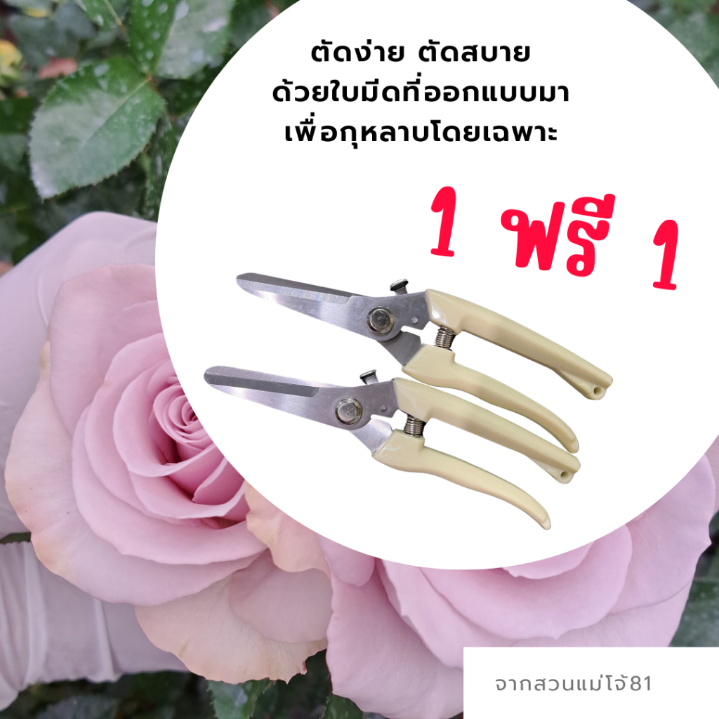 [1 ฟรี 1 ] กรรไกรครีม ตัดแต่งพืชทุกชนิด ปากแหลมคม ตัดง่าย