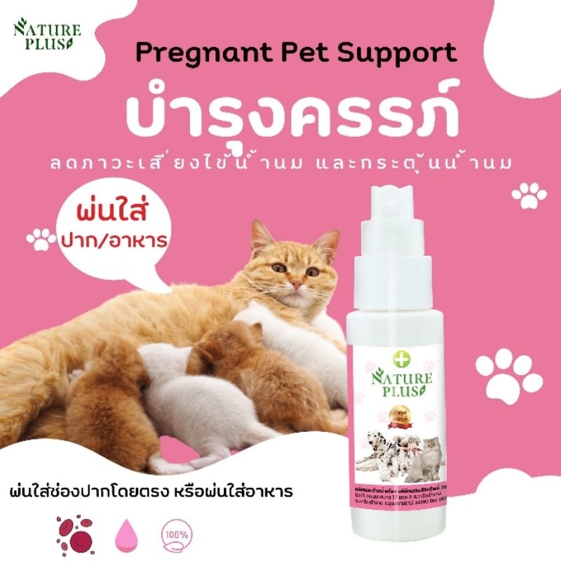 สเปรย์บำรุงครรภ์ สุนัขและแมว กระตุ้นน้ำนม ระบบไหลเวียนเลือดดีขึ้น