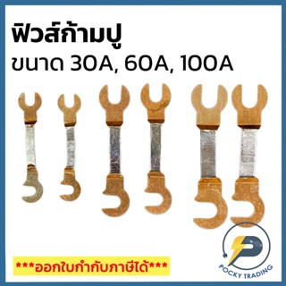 (ขายเป็นชิ้น) ฟิวส์ก้ามปูสำหรับสะพานไฟ 30A, 60A และ 100A