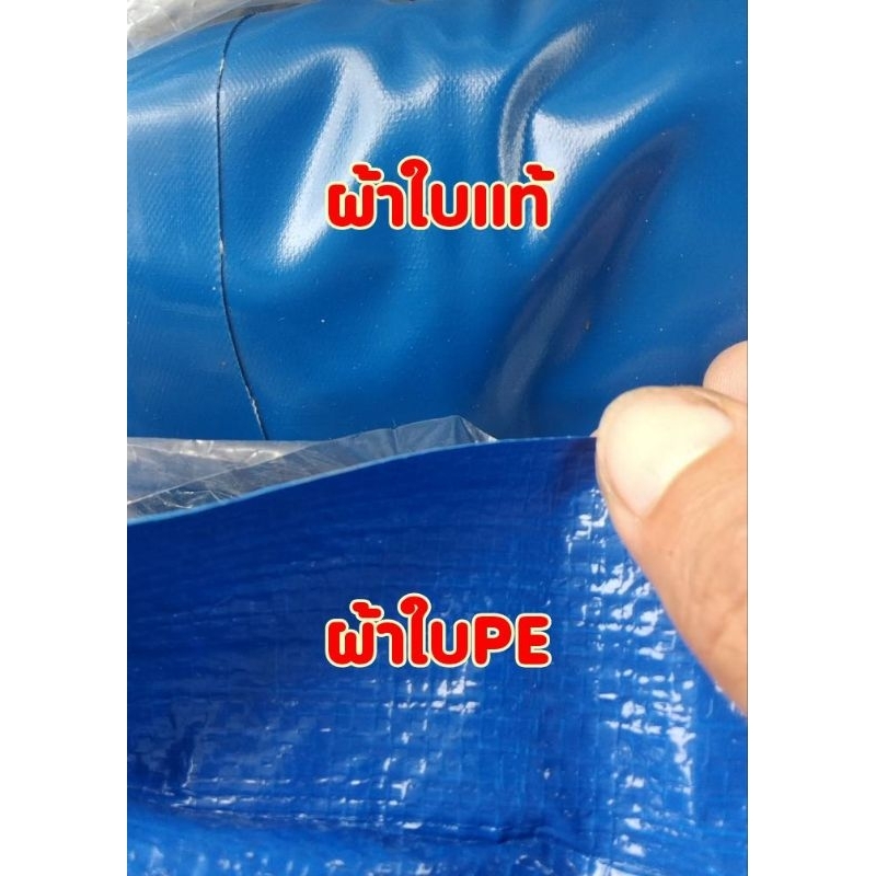 ชุดบ่อผ้าใบPE 1x1.5x0.5ม. +โครงพีวีซี 6หุน (ครบชุด) - รูปที่ 3