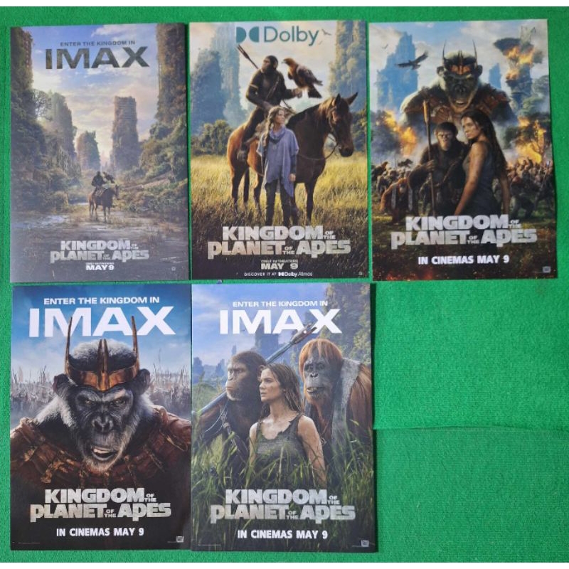 โปสเตอร์ IMAX Poster Kingdom of the Planet of the Apes อาณาจักรแห่งพิภพวานร ลิขสิทธิ์แท้จาก Major - SF พิภพวานร 2024