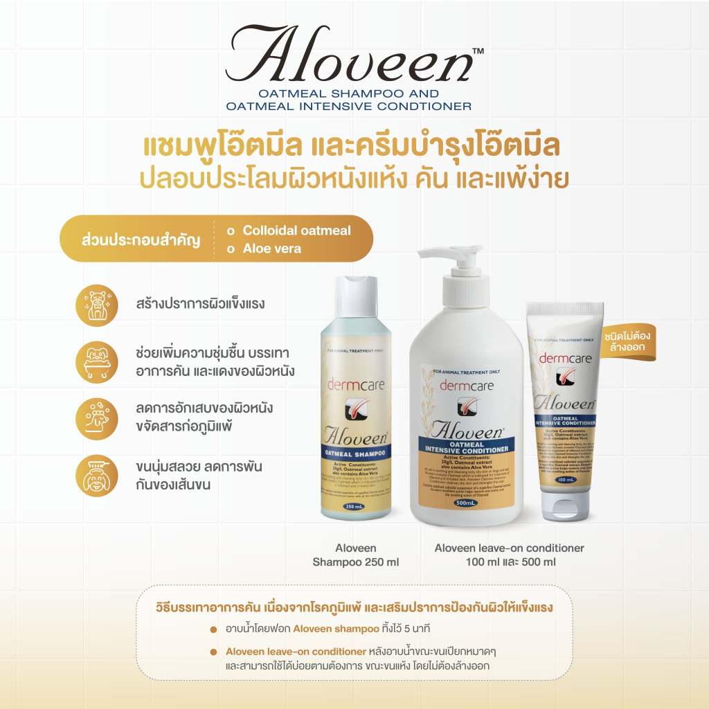 รูปภาพ 6