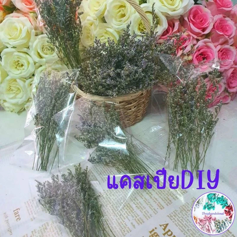 ซองละ20บาทดอกไม้แห้ง ดอกแคสเปียแห้ง ดอกสุ่ยแห้ง ดอกสเตติสแห้ง ดอกไม้แห้งหลายชนิดนำไปตกแต่งDIY