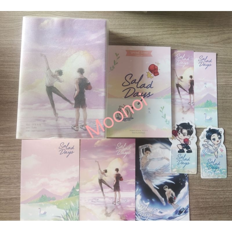 *ติดจอง ห้ามกด*Salad Days ชุดสะสมรอบจอง มือ2/นิยายวายมือสอง/นิยายวายแปลจีน/นิยายวาย/นิยาย(Y)/Boy Lov