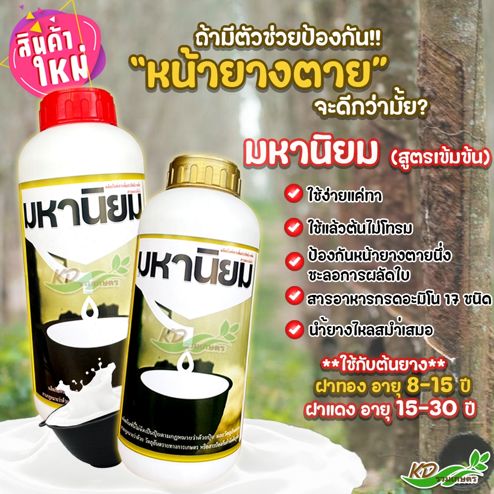 ยาทาหน้ายาง มหานิยม ฝาสีทอง ฝาสีแดง ขนาด 1 ลิตร และ 500 มล. ป้องกันหน้ายางตายนึ่ง น้ำยางไหลสม่ำเสมอ