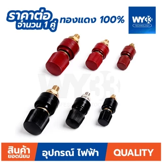 ขายต่อ 1 คู่ ทองแดง 100% ไบดิ้ง โพส ต่อแบตเตอรี่ เกลียว M5 M6 M8 M10 ไบดิ้งโพส ลำโพง binding post