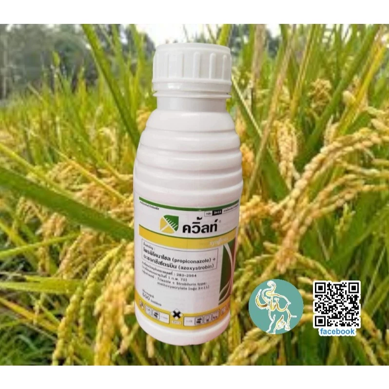 ควิ้ลท์(สารอามูเร่+ออติวา) 500 มล.กำจัดโรคเมล็ดด่าง โรคกาบใบแห้ง 1 ขวด ได้ 8-10 ไร่