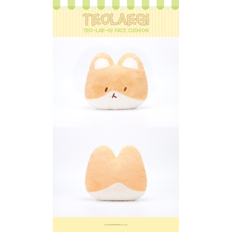 TEOLAEGI FACE CUSHION