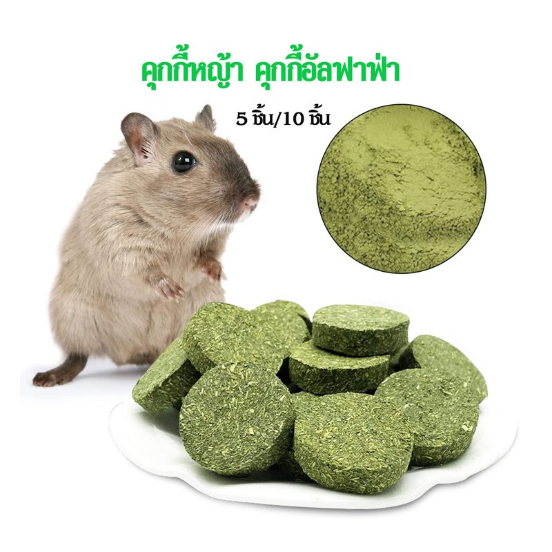 ขนม คุกกี้หญ้า อัลฟัลฟ่า คุกกี้อัดเม็ด สำหรับกระต่าย เเพรี่ด็อก หนูขวัญ หนูตะเภา