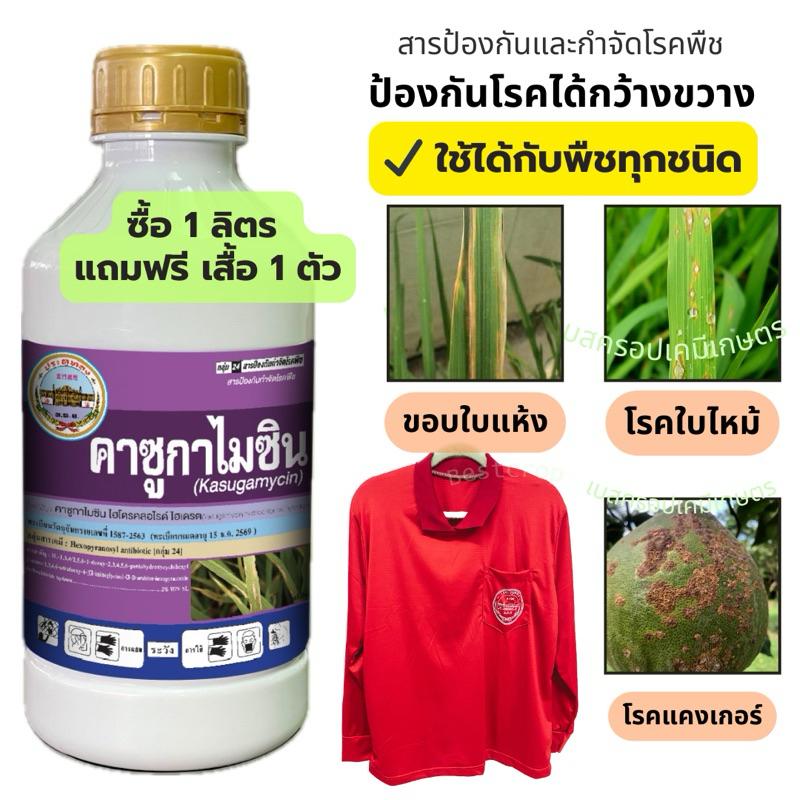 คาซูกาไมซิน คาซูกามัยซิน 1 ลิตร สารป้องกันกำจัดโรคพืช ใบไหม้ โรคแคงเกอร์ ขอบใบแห้ง ใบขีดสีน้ำตาล ใบติด ดอกเน่าในทุเรียน