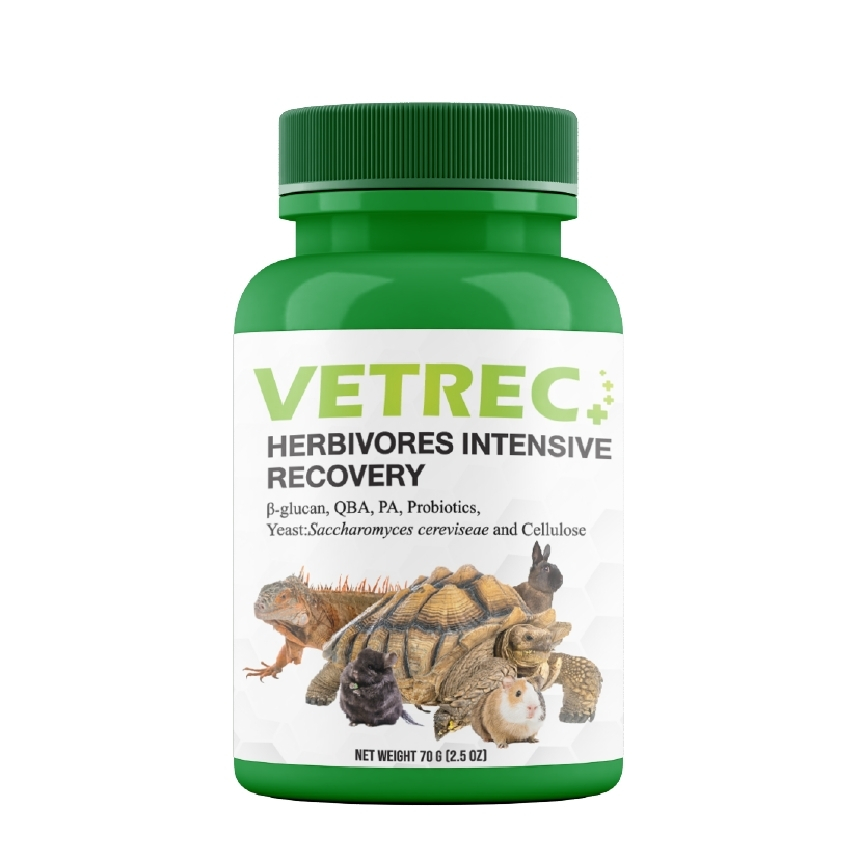 HERBIVORES INTENSIVE RECOVERY อาหารฟื้นฟูสำหรับกระต่ายและสัตว์กินพืช 70 กรัม