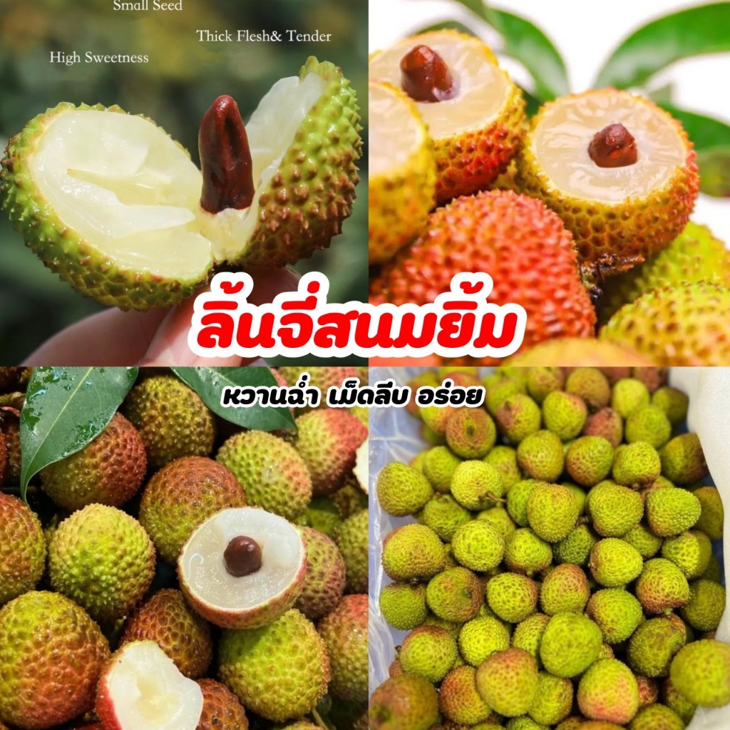 💚ลิ้นจี่สนมยิ้ม สดใหม่ อร่อย เม็ดลีบ สดชื่น หวานฉ่ำ เนื้อเยอะ💦