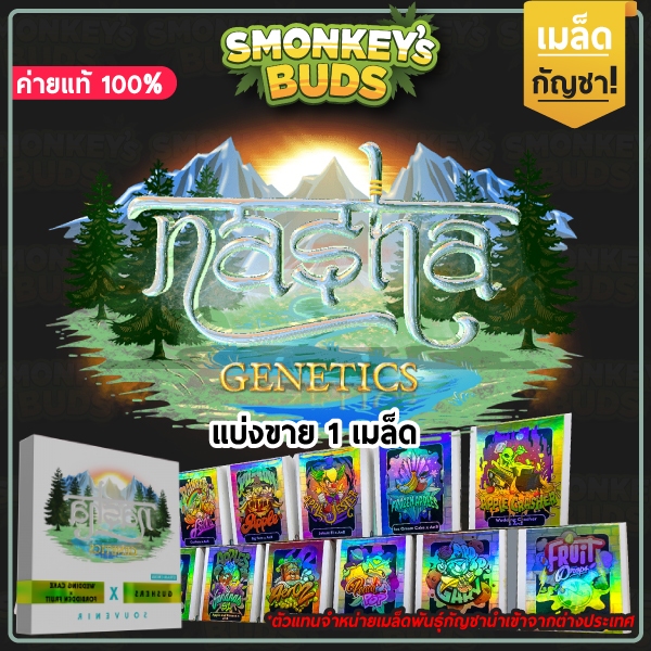 ค่าย Nasha Genetic ค่ายแท้ จากตัวแทนเมล็ดพันธุ์กัญชานอก