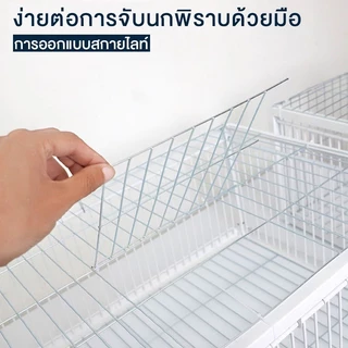 กรงดักนกขนาดใหญ่ เพนียดดักนก 70cm*40cm*26cm กรงกับดักนกพิราบ กรกดักนกเขา กรงนกพิราบ ที่ดักนก กรงต่อนก กรงนกทางเดียว