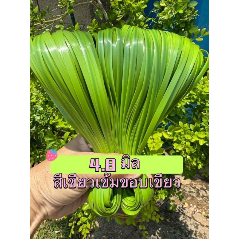 เส้นหวายเทียม ขนาด4.8มิล(โทนสีเขียว) มัดเล็ก100กรัม