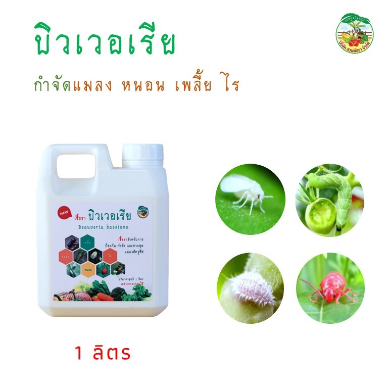 บิวเวอเรีย บิวเวอร์เรีย (BV) Beauveria bassiana ขนาด 1, 5 ลิตร ชีวภัณฑ์กำจัดแมลง หนอน เพลี้ย ไร เกษตรอินทรีย์  ปลอดภัย