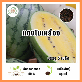 เมล็ดพันธุ์ แตงโมเหลือง บรรจุ 5 เมล็ด