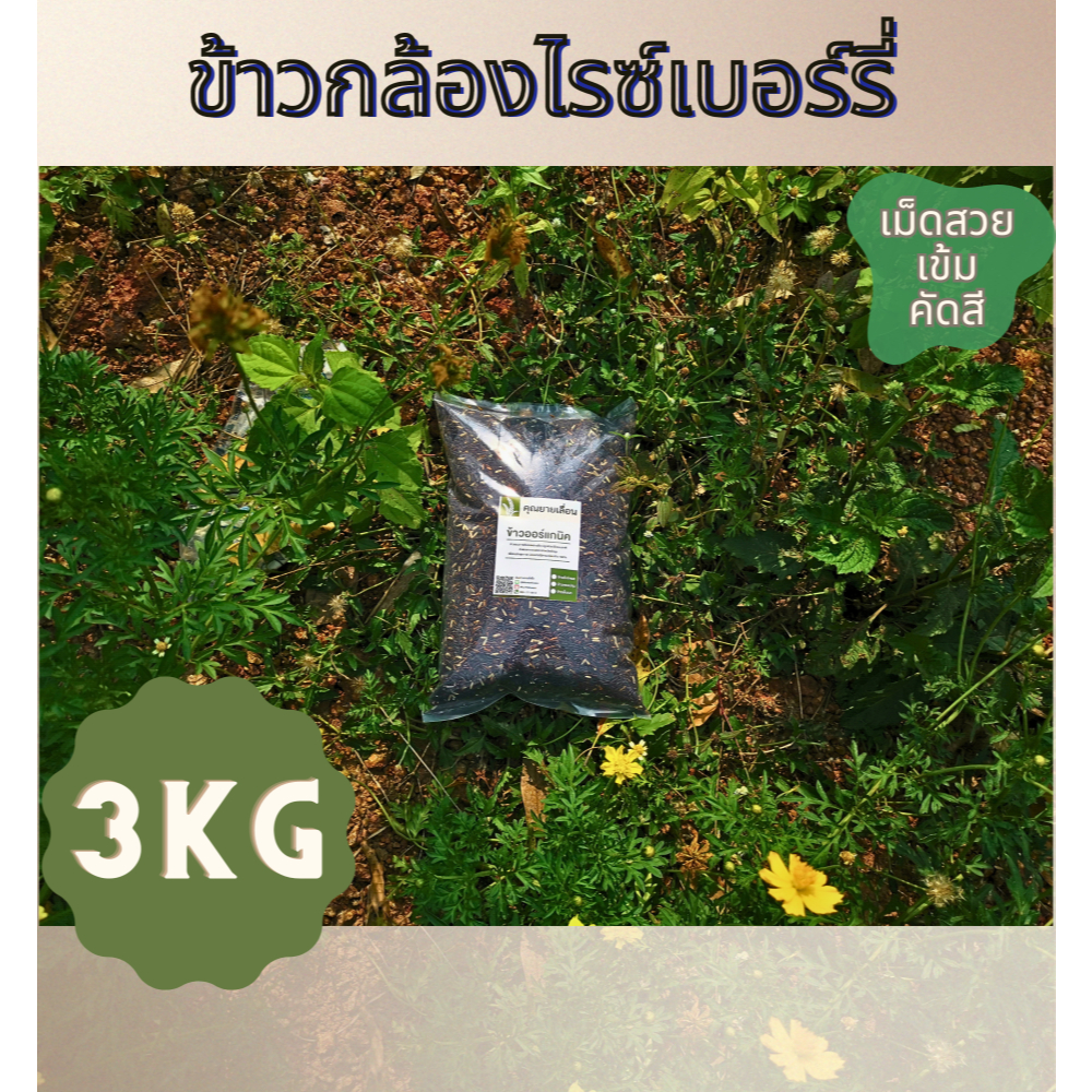 🌾ข้าวกล้องไรซ์เบอร์รี่ (ขนาด 3 kg)✅คัดสี🔥ข้าวใหม่ สีข้าวทุกวันตามคำสั่งซื้อ 🔥ปลอดสาร จากเกษตรกร จ. พัทลุง