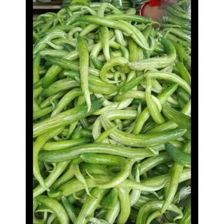 เมล็ดพันธุ์บวบงู นาคี 5 เมล็ด