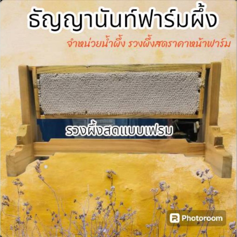 รวงผึ้งสดในเฟรมไม้ สำหรับตัดแบ่งหรือใช้เป็นท็อปปิ้ง ราคาถูกที่สุด