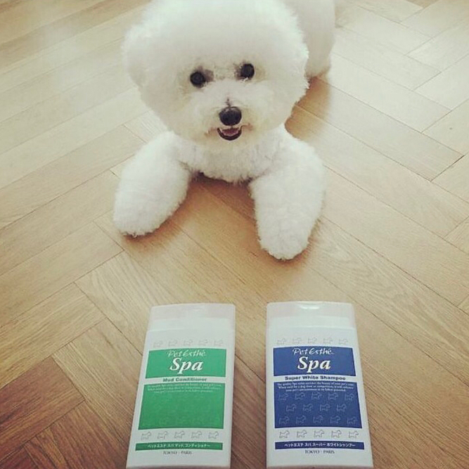 เพ็ทเอสเต้ แชมพูสุนัขขนขาว สูตรสปาขนขาวพิเศษ นำเข้าจากประเทศญี่ปุ่น Pet Esthé Spa Super White Shampoo - รูปที่ 3