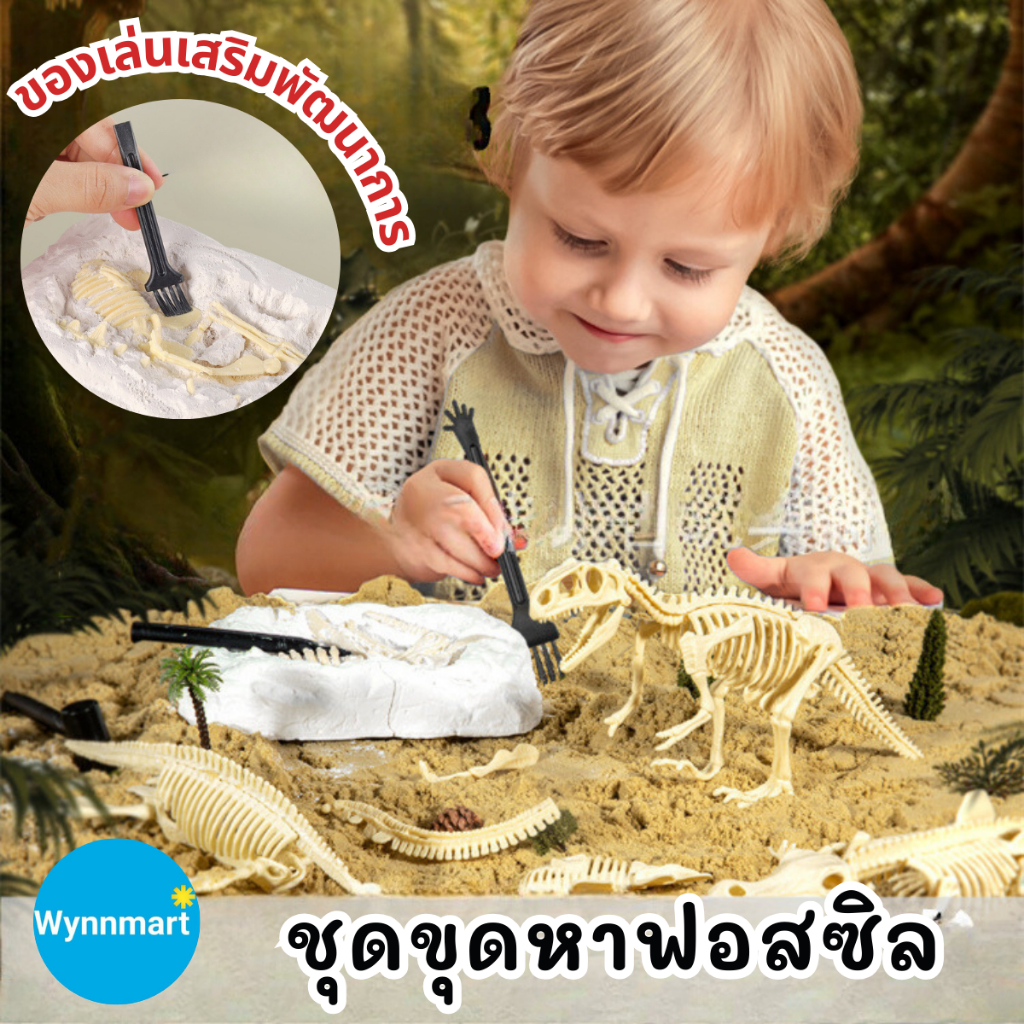 ชุดขุดฟอสซิลไดโนเสาร์ ขุดฟอสซิล ฟอสซิลไดโนเสาร์