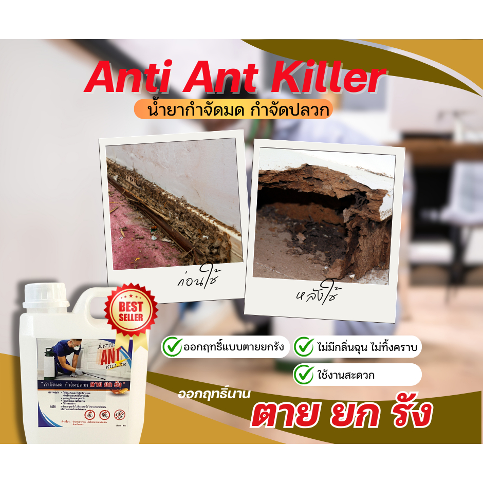 ได้ถึง 3 ในราคาสุดคุ้ม ซื้อ 2 แถม 1 ยากำจัดมด ยากำจัดปลวก Anti Ant Killer ออกฤทธิ์นาน ตายยกรัง ปริมาณ 1 ลิตร - รูปที่ 2