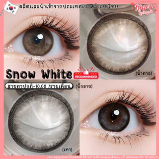 เลนส์ตาหวาน ✨ ขนาดตาโต Bigeyes Snow white brown/ gray ของแท้ มีอย ไทย ผลิตที่เกาหลี