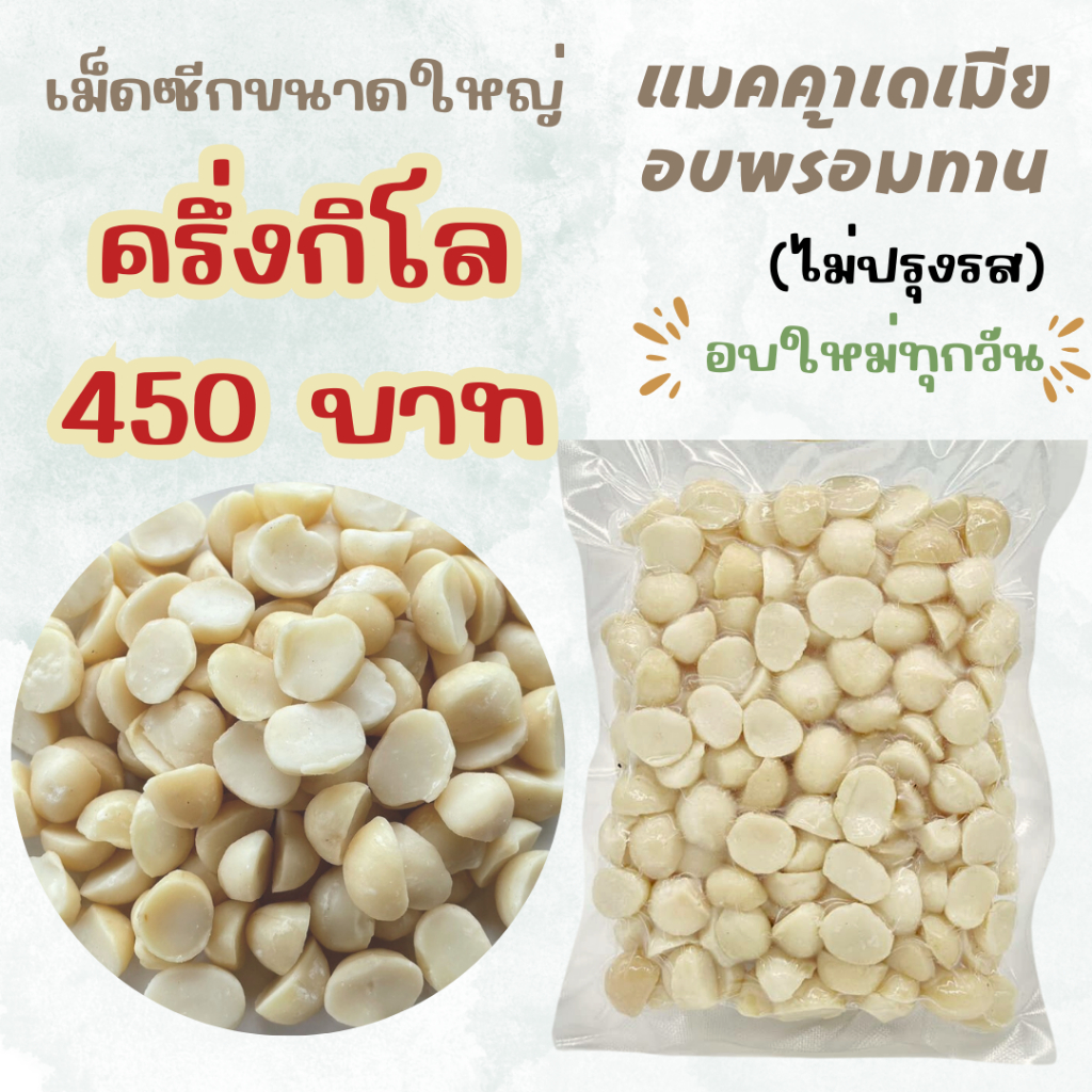 แมคคาเดเมีย เม็ดซีกอบพร้อมทาน ขนาดใหญ่ อบใหม่ ส่งตรงจากโรงาน