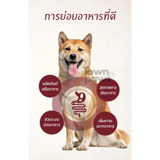 DENT.DOC ขนมขัดฟันสุนัข 6แบบ ขนมสุนัข Japan Pet Health&Care ญี่ปุ่น ลดกลิ่นปาก ฟันขาว [พร้อมส่ง]