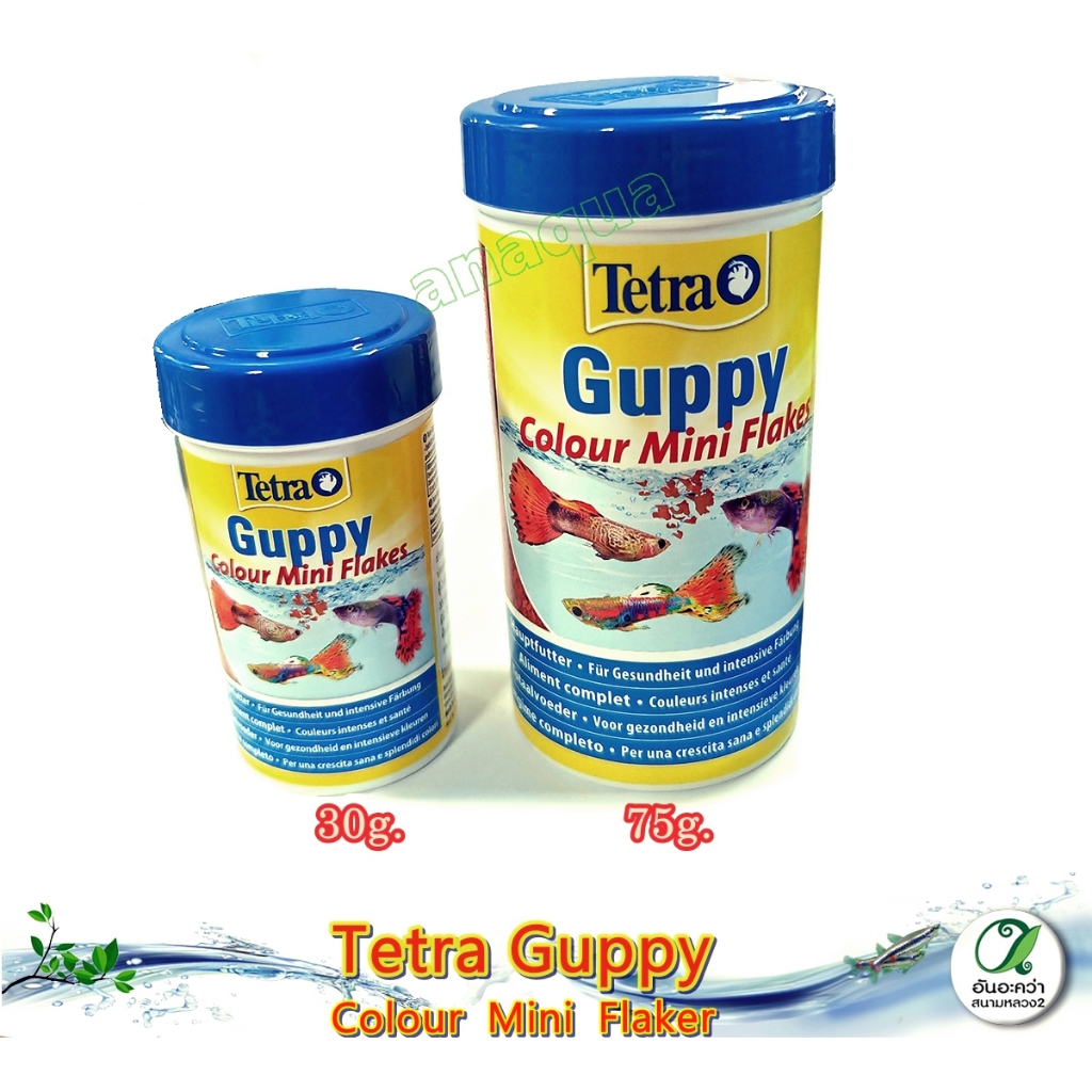 Tetra Guppy Colour Mini Flakes อาหารปลานกยูง เร่งสี ชนิดแผ่น สูตรใหม่ - รูปที่ 3