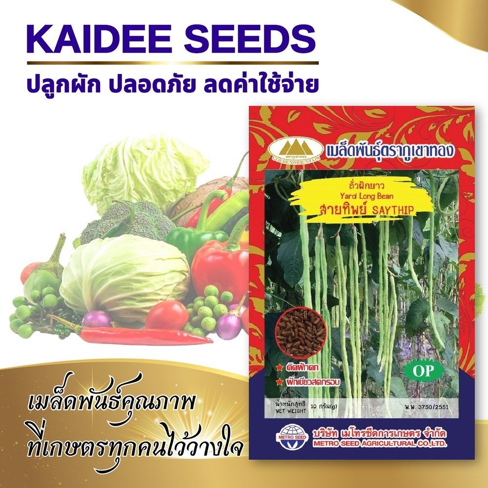 เมล็ดถั่วฝักยาว สายทิพย์ เมล็ดสีแดง Yard Long Bean Saythip เมล็ดพันธุ์ถั่วฝักยาว ถั่วฝักยาว เมล็ดพันธุ์ผัก ตราภูเขาทอง