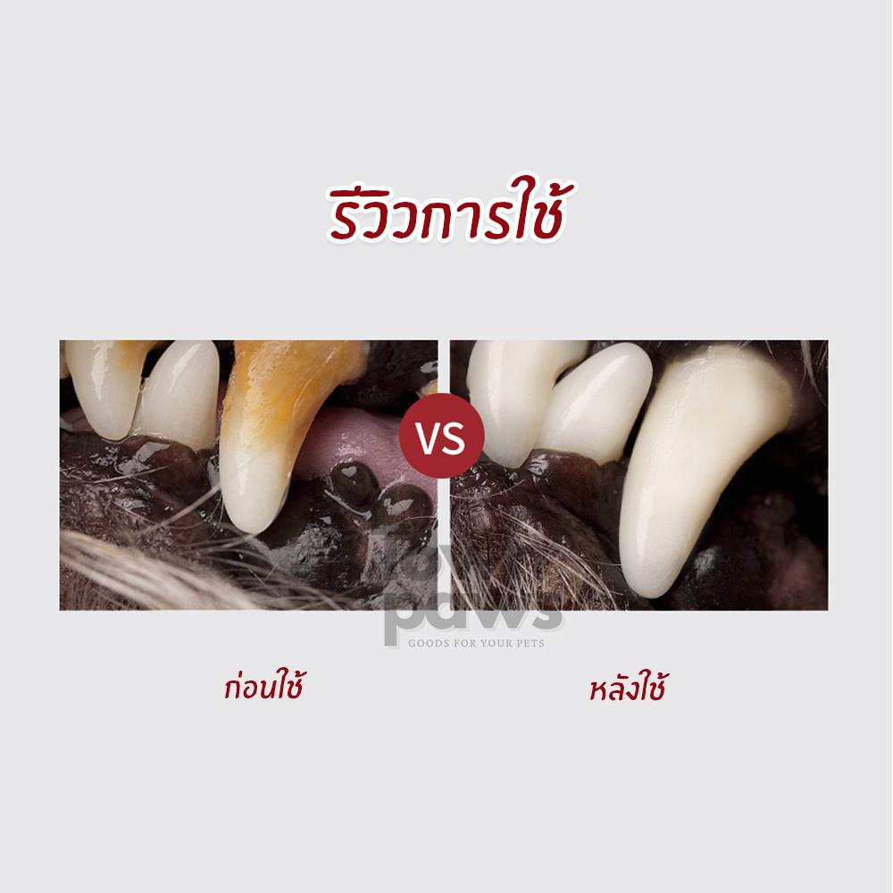 KOJIMA ปากกา ทำความสะอาดฟัน สัตว์เลี้ยง สุนัข ลดกลิ่นปาก รูปที่ 7