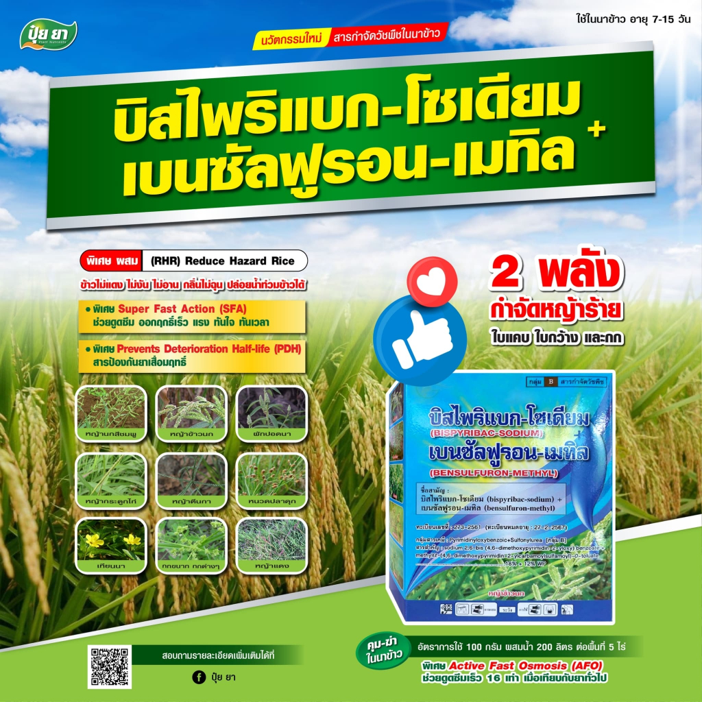 ปุ๋ย ยา บิสไพริแบก-โซเดียม+เบนซัลฟูรอน-เมทิล ยาคุมหญ้า ยาคุมเลน ยาฆ่าหญ้าในนาข้าว กำจัดวัชพืชใบแคบใบกว้าง (100 กรัม)