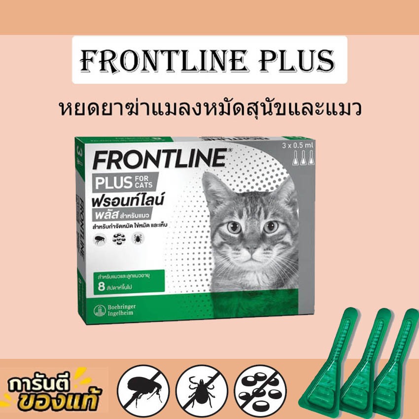 (พร้อมส่ง / ของแท้) แมว Frontline Plus ฟรอนท์ไลน์ พลัส ยาหยอด กำจัดเห็บหมัด เห็บแมว หมัดแมว(exp 10/2025)