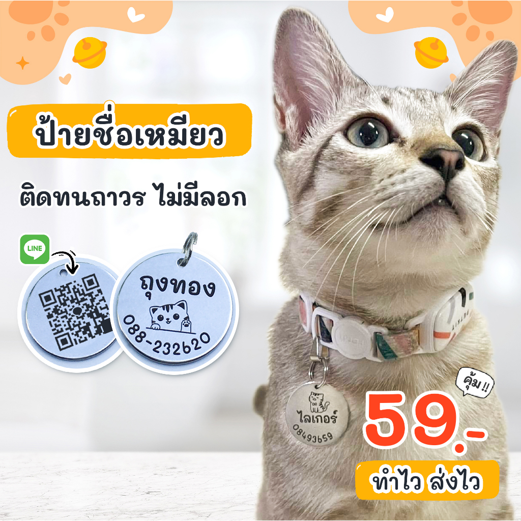 ซื้อ ป้ายชื่อแมว เก็บปลายทางได้ สลักชื่อฟรี ติดทนถาวร รับประกันไม่หลุดลอก ปลอกคอแมว ป้ายชื่อสัตว์เลี้ยง