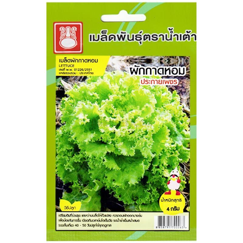 เมล็ดผักกาดหอม (ผักสลัด) ประกายเพชร