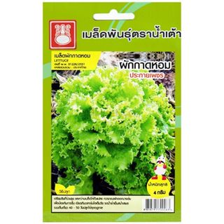 เมล็ดผักกาดหอม (ผักสลัด) ประกายเพชร