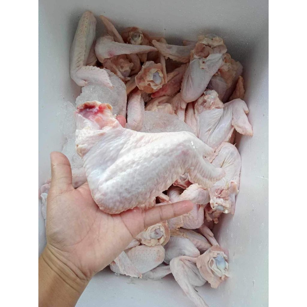 ปีกไก่แก่เต็ม ปีกเต็มสวยฉ่ำ แพ็คละ5โล สะดวกใช้
