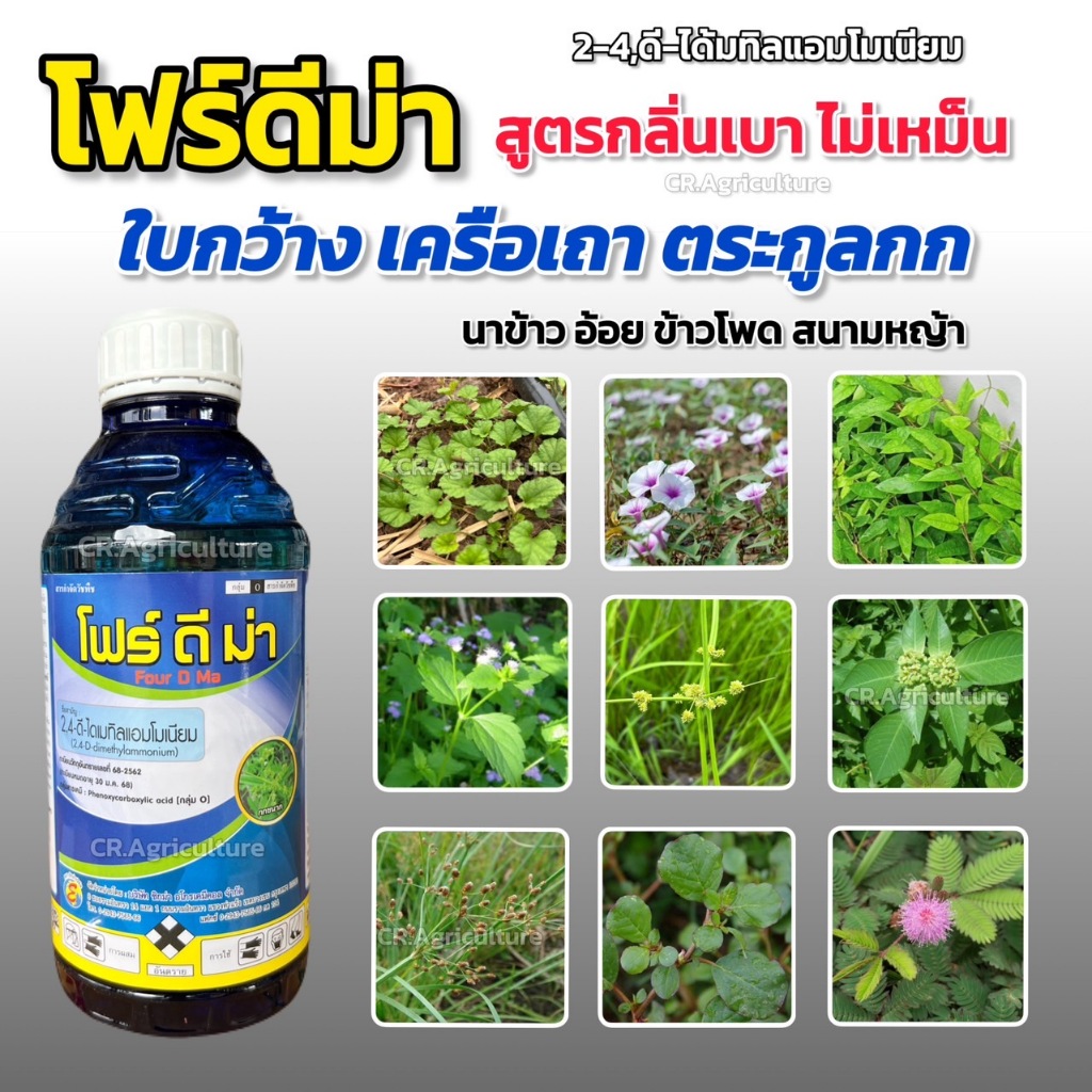 โฟร์ดีม่า 2,4-ดี-ไดเมทิลแอมโมเนียม ทูโฟร์ดี (สูตรกลิ่นไม่เหม็น) สารกำจัดวัชพืช ใบกว้าง เครือเถา ไมยราบ ผักบุ้ง กก 1 ลิตร