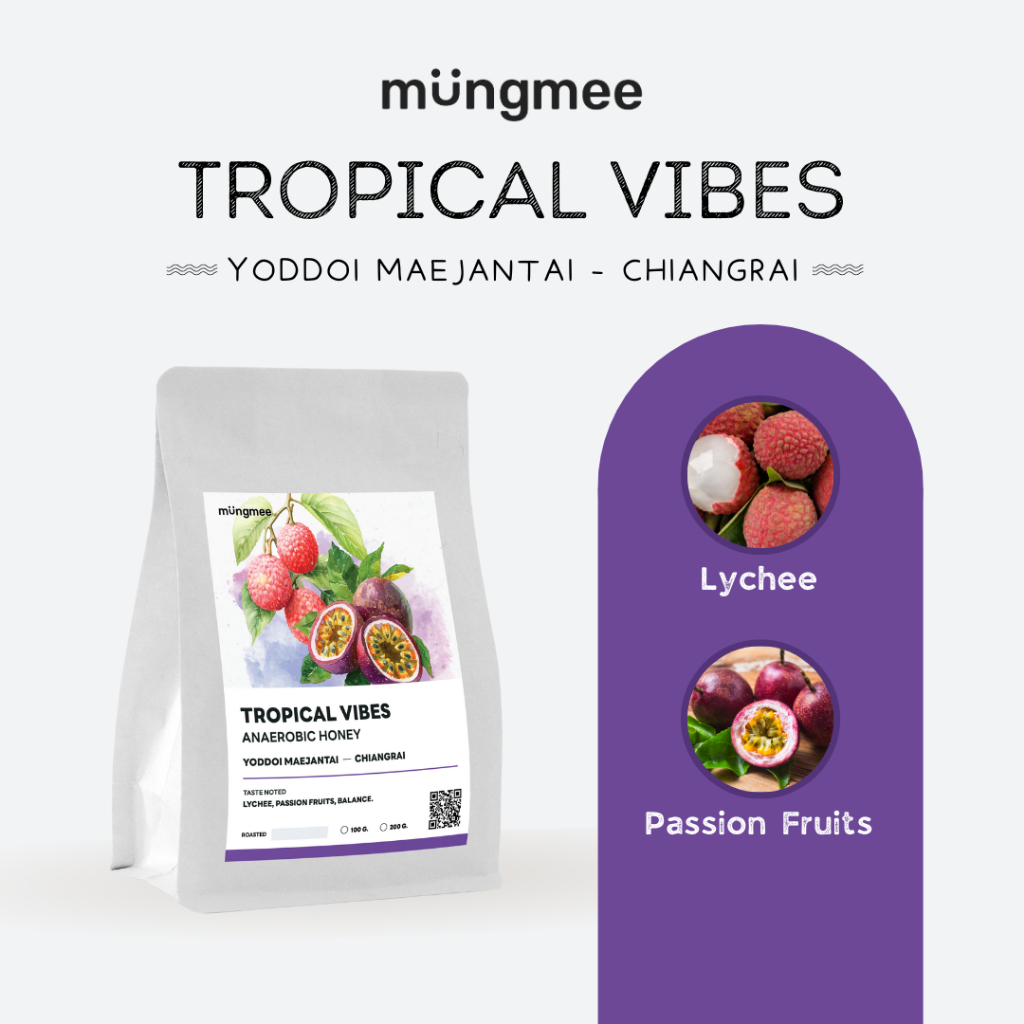 Mungmee Coffee เมล็ดกาแฟ คั่วอ่อน Yoddoi Maejantai - Tropical Vibes