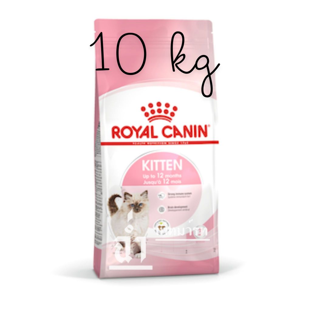 Royal Canin Kitten 10 kg อาหารเม็ดลูกแมว อายุ 4-12 เดือน