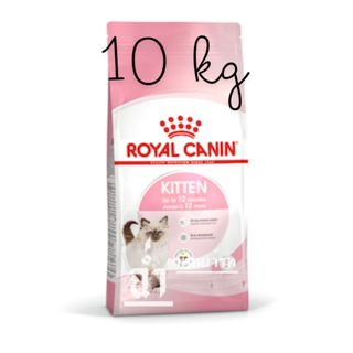 Royal Canin Kitten 10 kg อาหารเม็ดลูกแมว อายุ 4-12 เดือน
