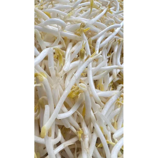 เกร็ดมังกร สำหรับแช่ถั่วงอก