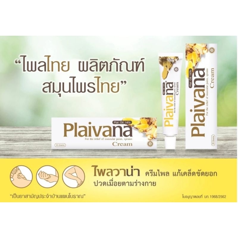 ไพลวาน่า ครีม น้ำมันไพล 14% Plaivana cream Plai oil 14%
