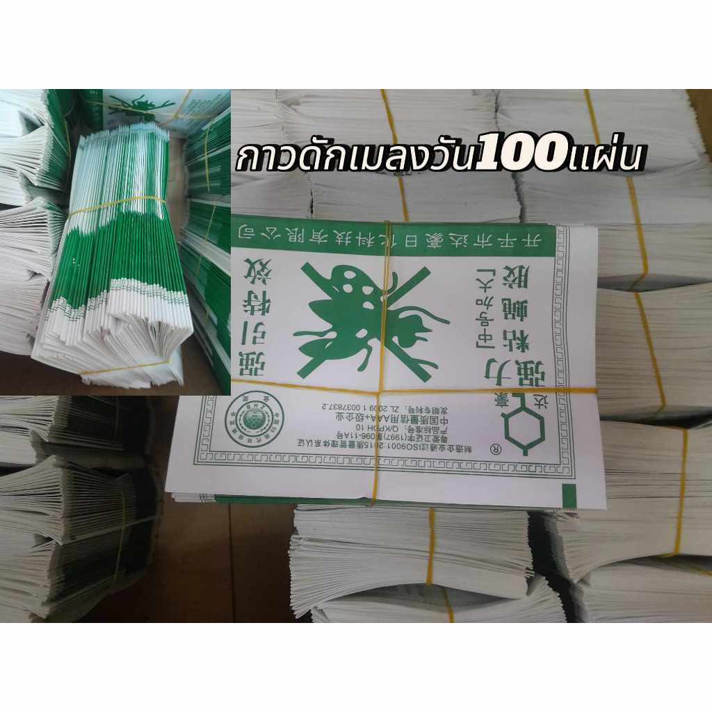 กาวดักแมลงวัน 100 แผ่น รุ่นกระดาษ ส่งไว!!