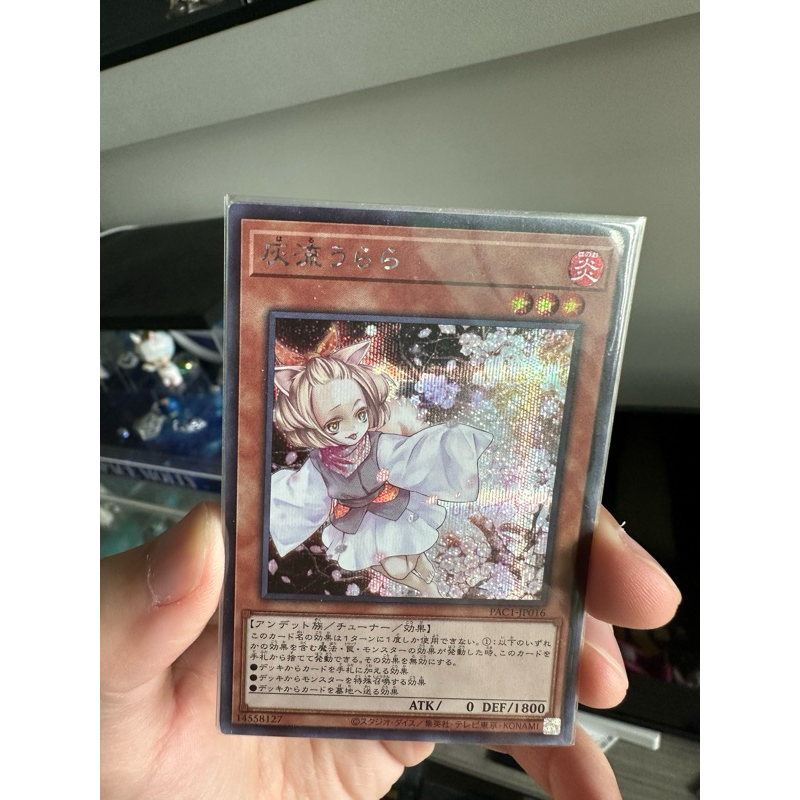 PAC1-JP016  Ash Blossom & Joyous Spring Secret rare (Urara)