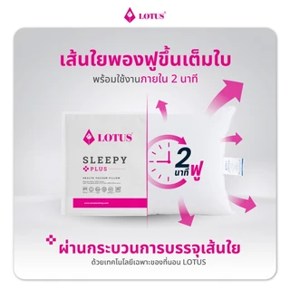 LOTUS หมอนสุญญากาศเพื่อสุขภาพ มีสารเคลือบป้องกันไรฝุ่น