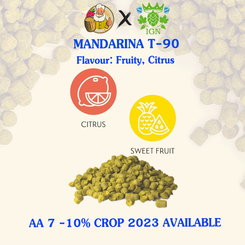 แมนดาริน่า บาวาเรียฮอปส์ Mandarina Bavaria (GR) Hops Crop Year 2022 hops ทำเบียร์ hops beer ฮอปทำเบียร์ hops Mandarina B