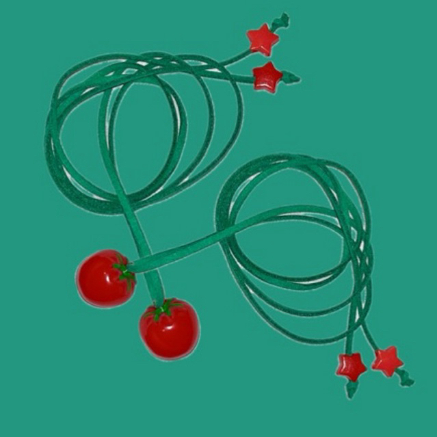 สร้อยคอมะเขือเทศ — tomato tomato 🍅 👀⁉️⭐️